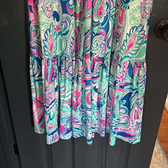 Lilly Pulitzer Dress - Picture 4 of 4